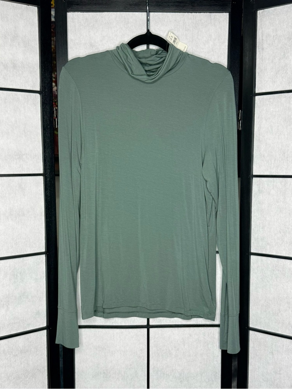 aerie Men's Long-Sleeve Turtleneck in Sage